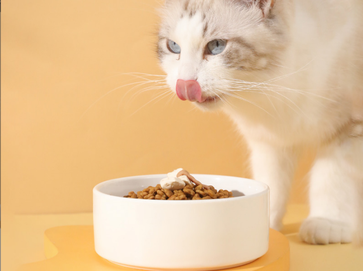 A stylish kitchen with a custom personalized pet bowl featuring a dog's name, "Max," and paw print designs.