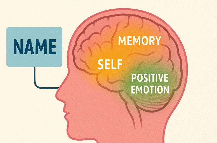 A stylized graphic of a human brain, with the areas for "self," "memory," and "positive emotion" lighting up in response to seeing an object with a name on it.